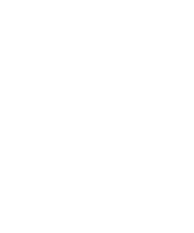 MAESTRU LOGO